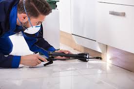 Professional pest control service in action