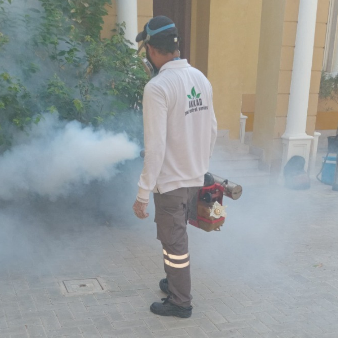 Image Showing that pest control technician Do fogging for Mosquitoes