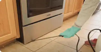 pest control treatment for toilet 