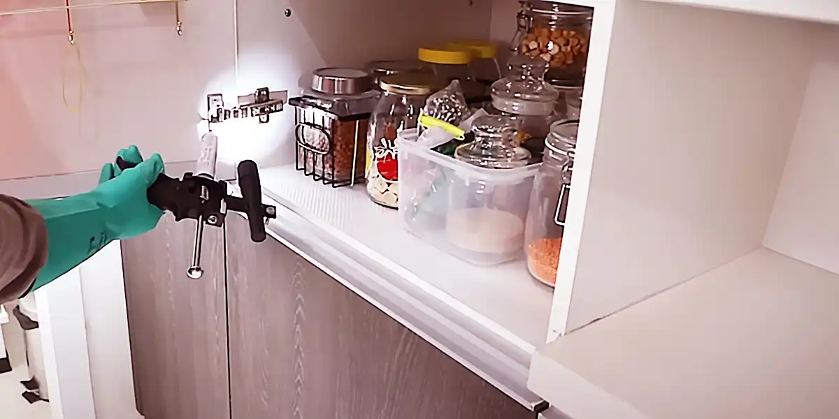 cockroaches treatment inside apartment