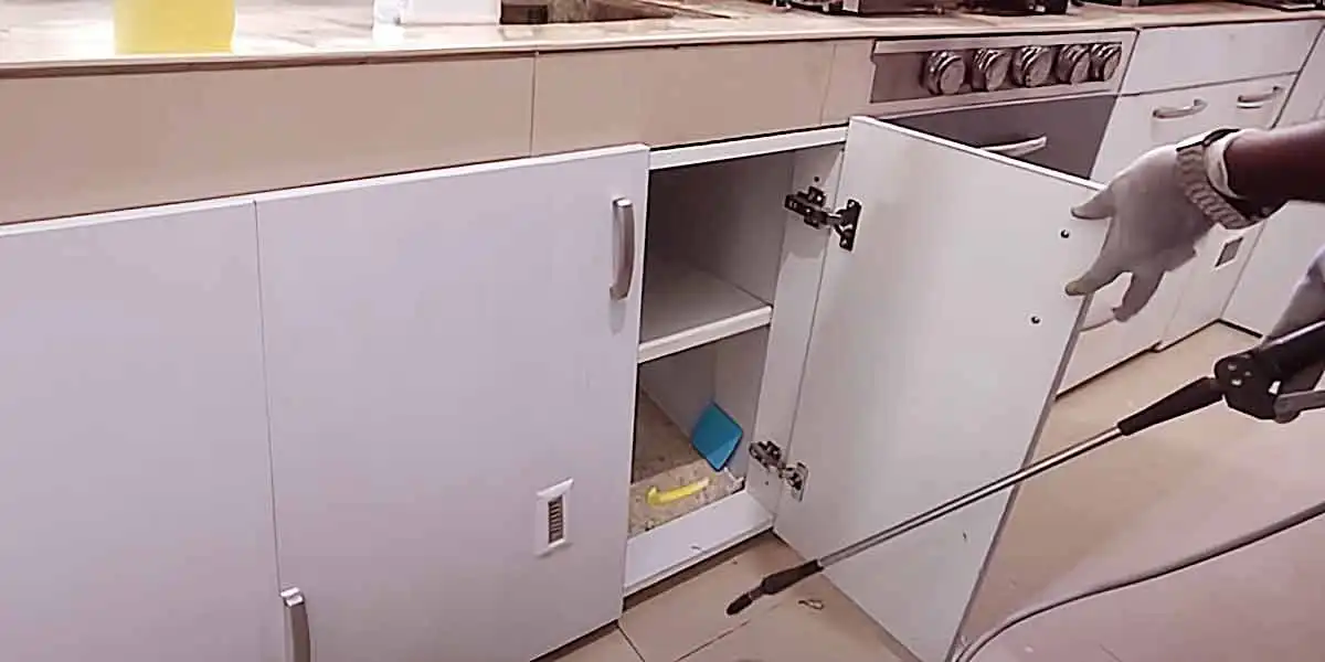 kitchen cabenit open for treatment