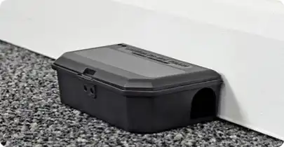 pest control treatment for appliances