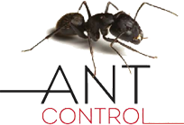 gel treatment ants